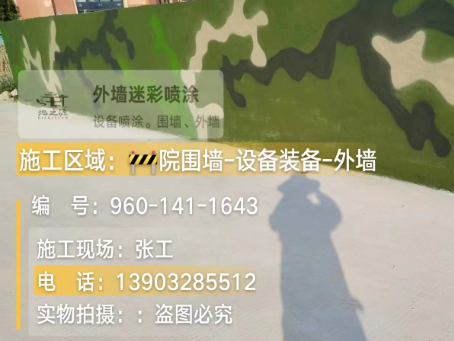 嘉定 迷彩漆喷涂价格（按平方米计费）