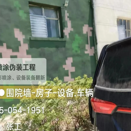 嘉定数码迷彩漆施工
